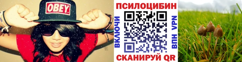 Псилоцибиновые грибы мицелий  купить закладку  Ухта 
